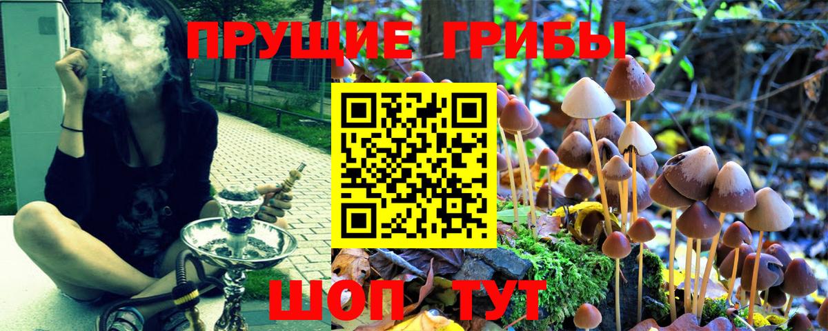 Псилоцибиновые грибы прущие грибы  Галлюциногенные грибы мухоморы  Ахтубинск  Вход с VPN 